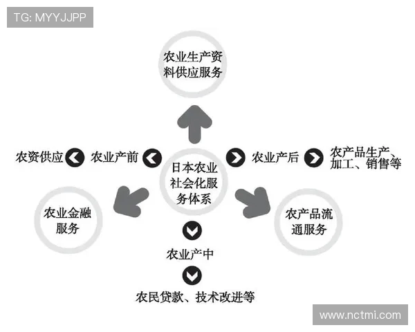 社会变革与健康发展：新时代背景下公共卫生与社会福祉的相互作用与挑战